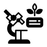 Benthic Fauna  analysis